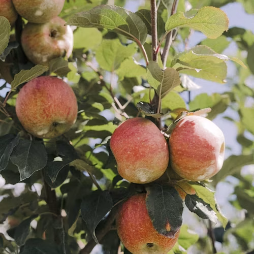 premium_photo-1665455301909-0e0ab6f0fcea